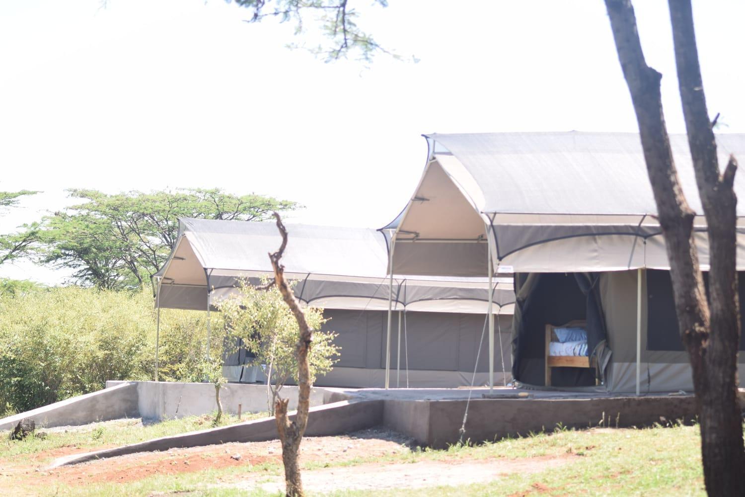 Maasai Mara Safari Camp In Kenya Bed & Breakfast Sekenani Exterior photo