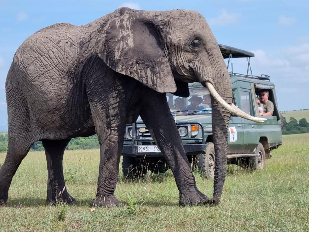 Maasai Mara Safari Camp In Kenya Bed & Breakfast Sekenani Exterior photo